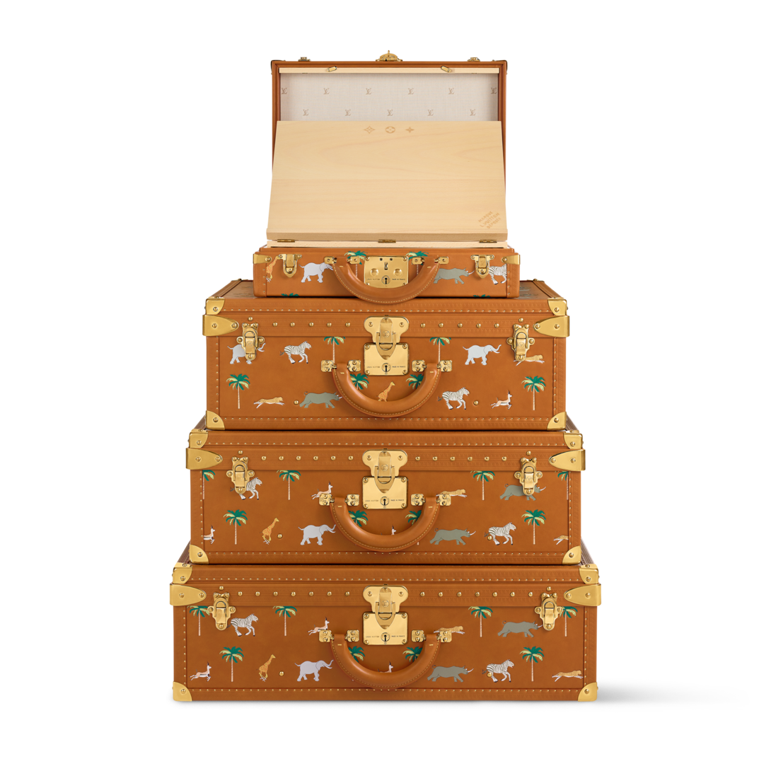 LV x Darjeeling Limited Pyramide Alzer President Other Leathers